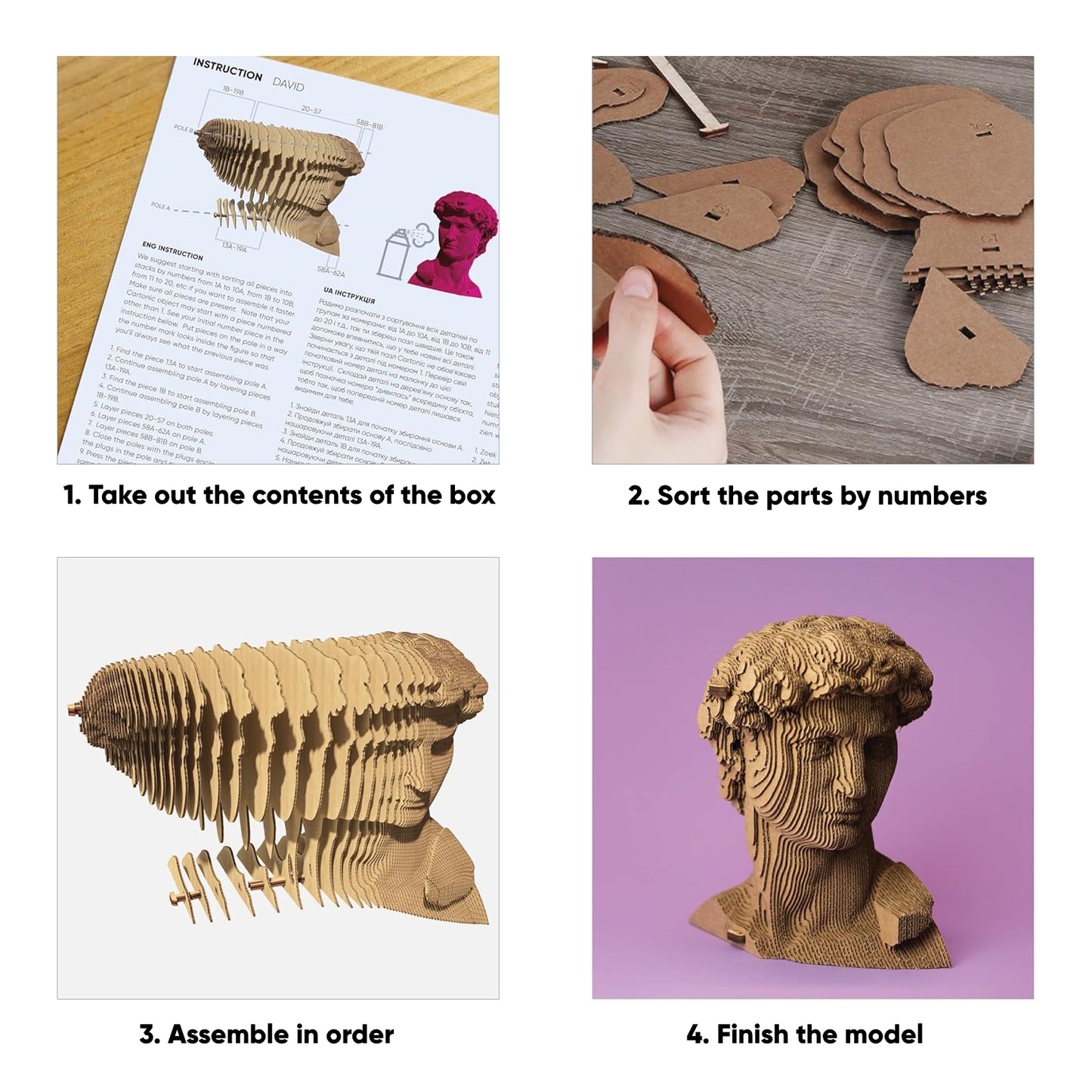 DAVID Cartonic 3D Puzzle