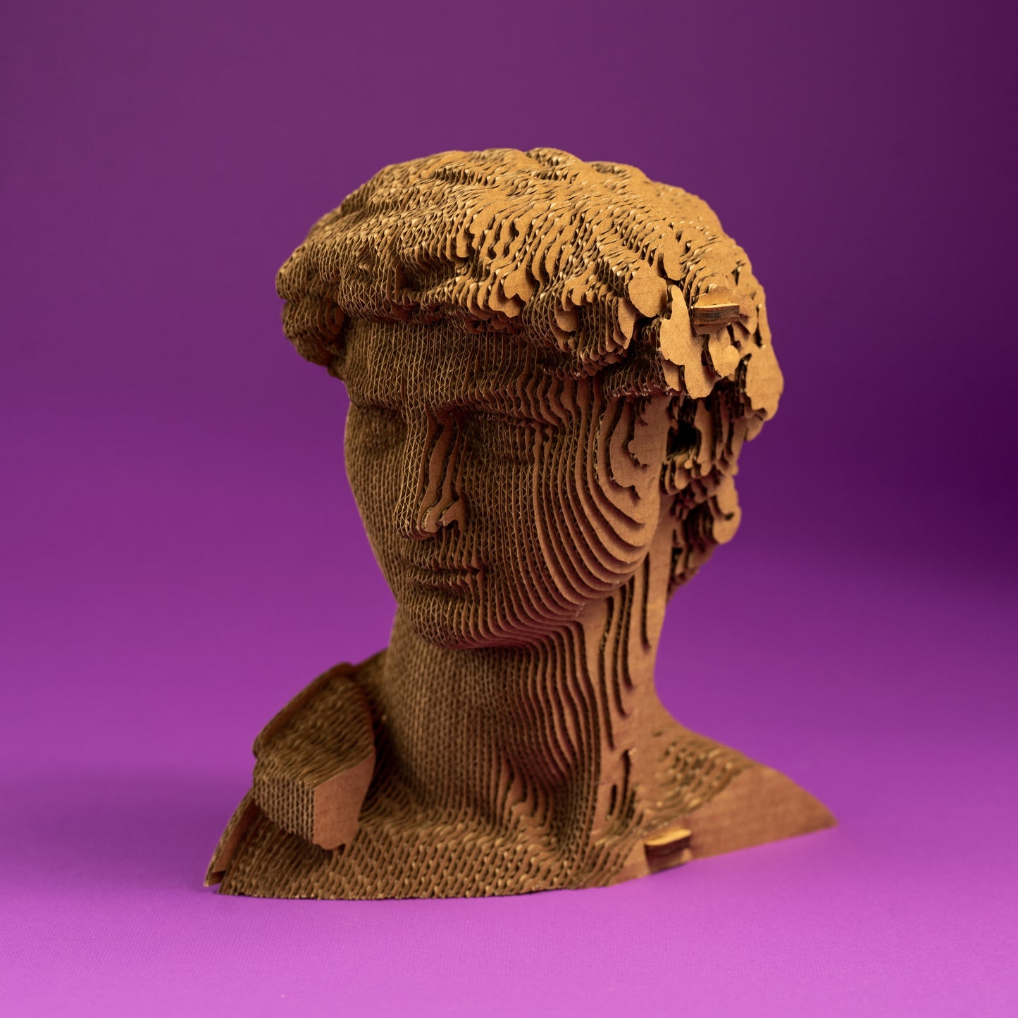 DAVID Cartonic 3D Puzzle
