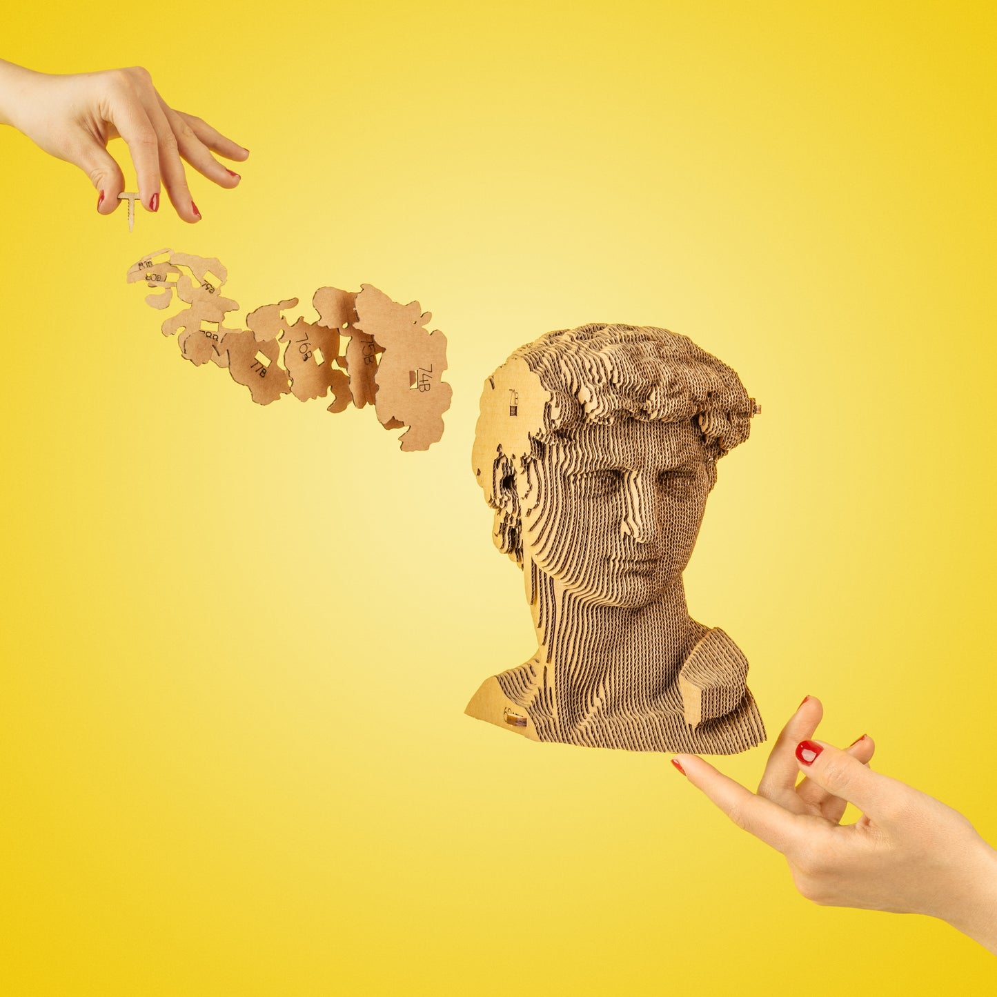 DAVID Cartonic 3D Puzzle