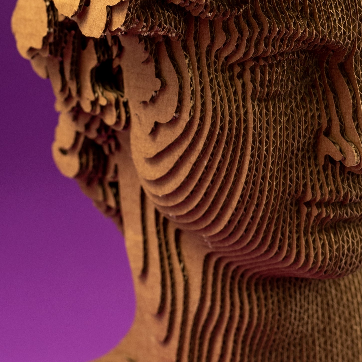 DAVID Cartonic 3D Puzzle
