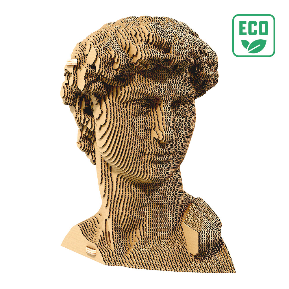 DAVID Cartonic 3D Puzzle