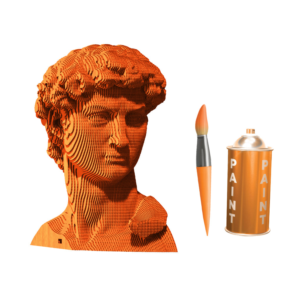 DAVID Cartonic 3D Puzzle