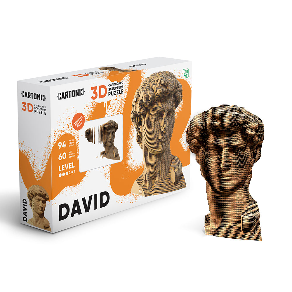 DAVID Cartonic 3D Puzzle