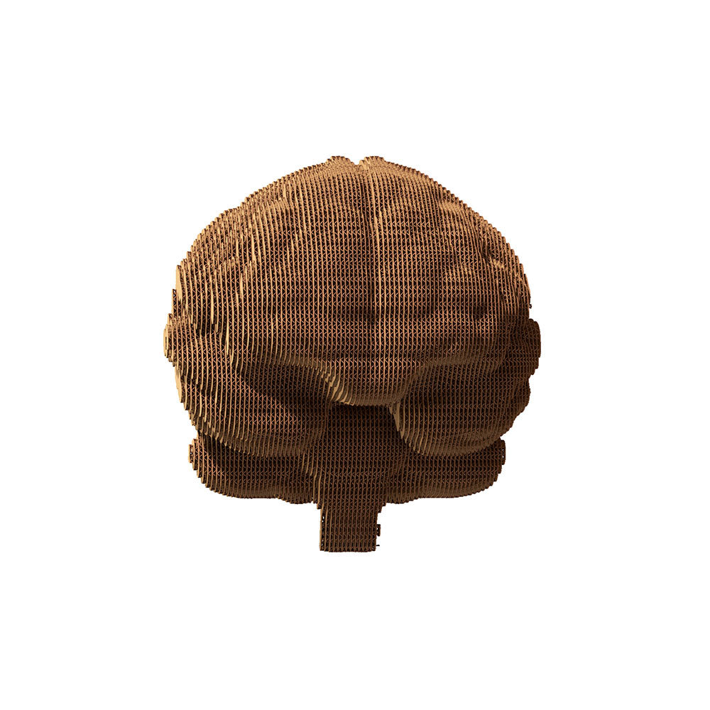 BRAIN Cartonic 3D Puzzle