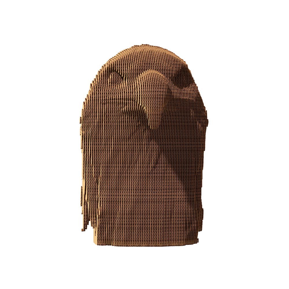 EAGLE Cartonic 3D Puzzle