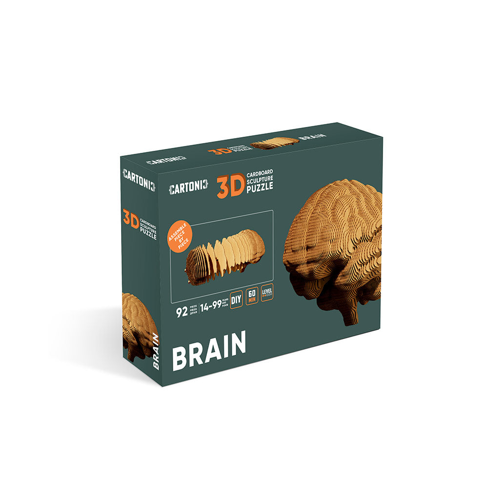 BRAIN Cartonic 3D Puzzle