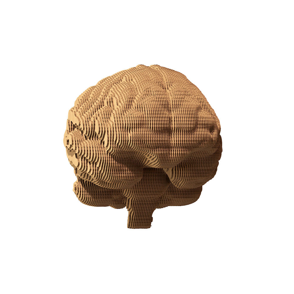 BRAIN Cartonic 3D Puzzle