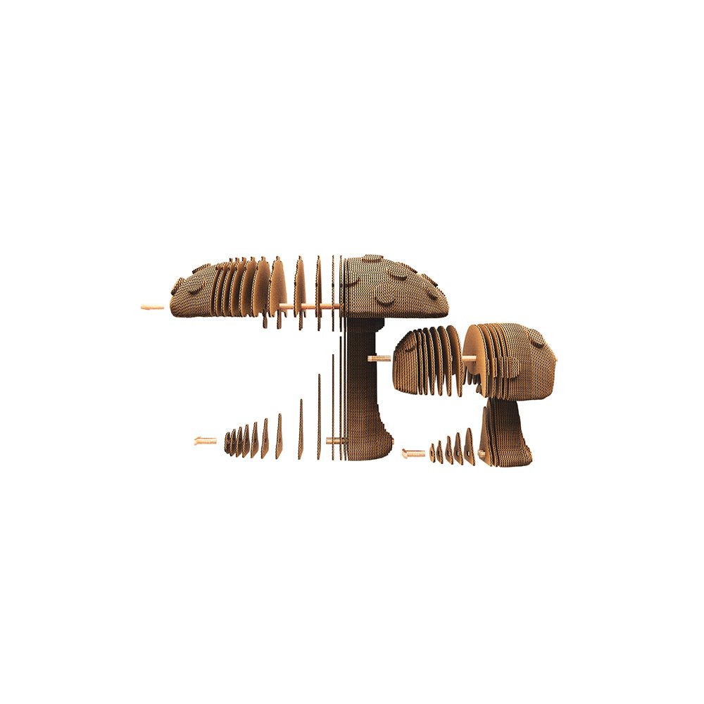 MUSHROOMS Cartonic 3D Puzzle