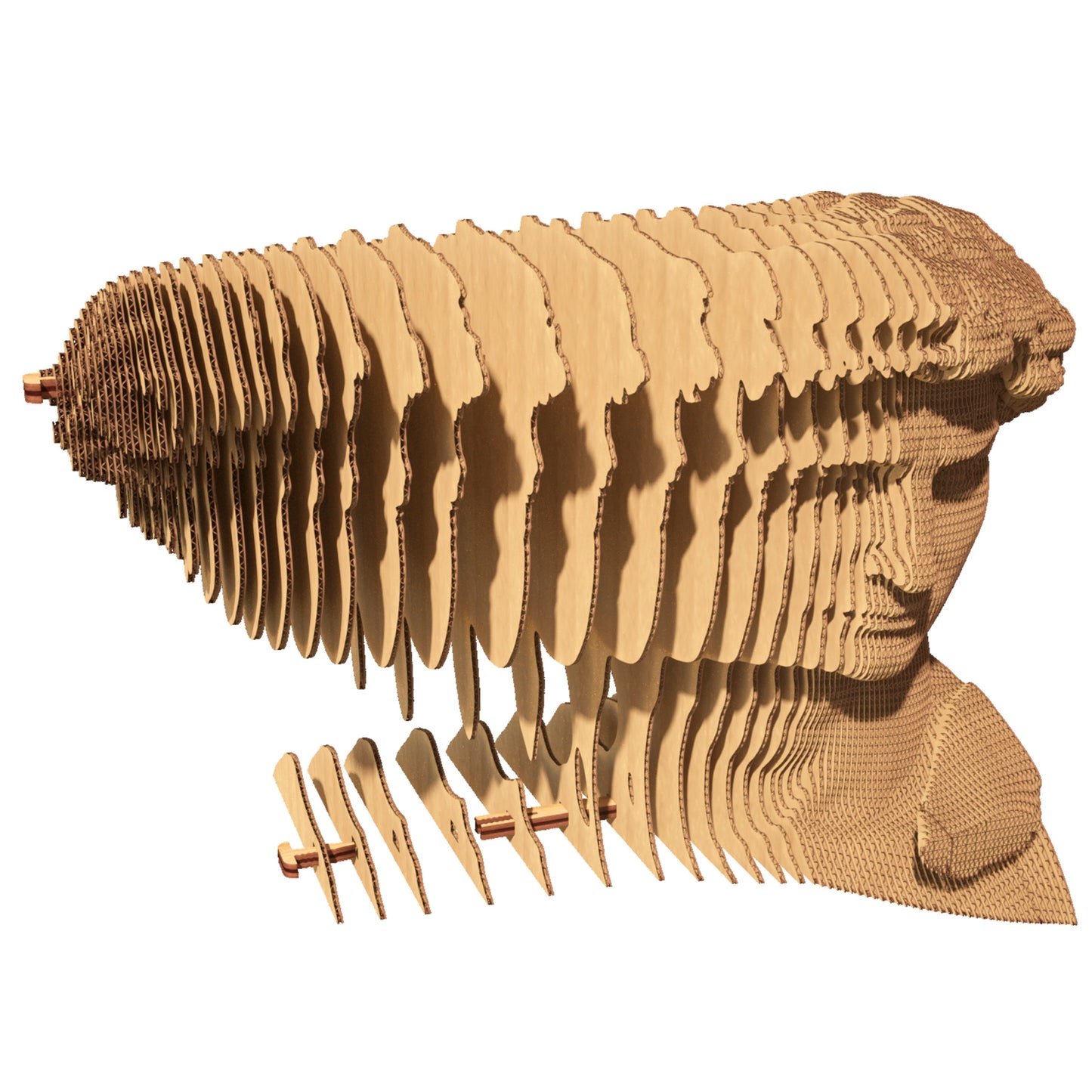 DAVID Cartonic 3D Puzzle