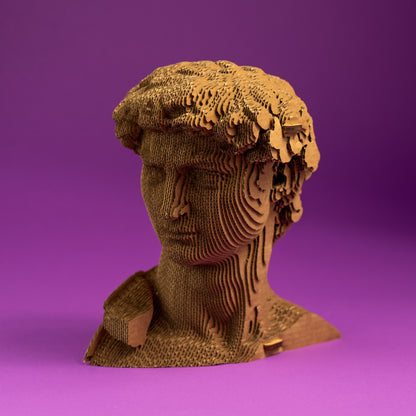DAVID Cartonic 3D Puzzle