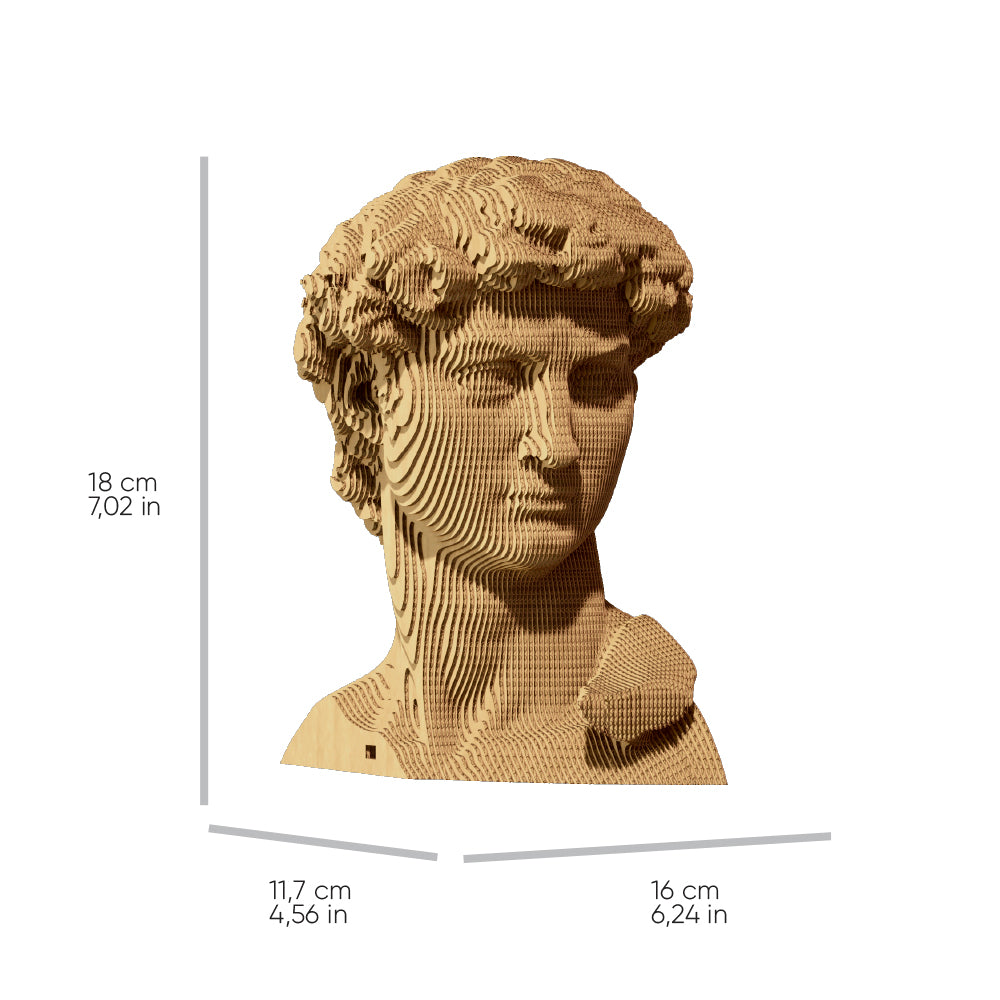 DAVID Cartonic 3D Puzzle