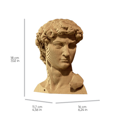DAVID Cartonic 3D Puzzle