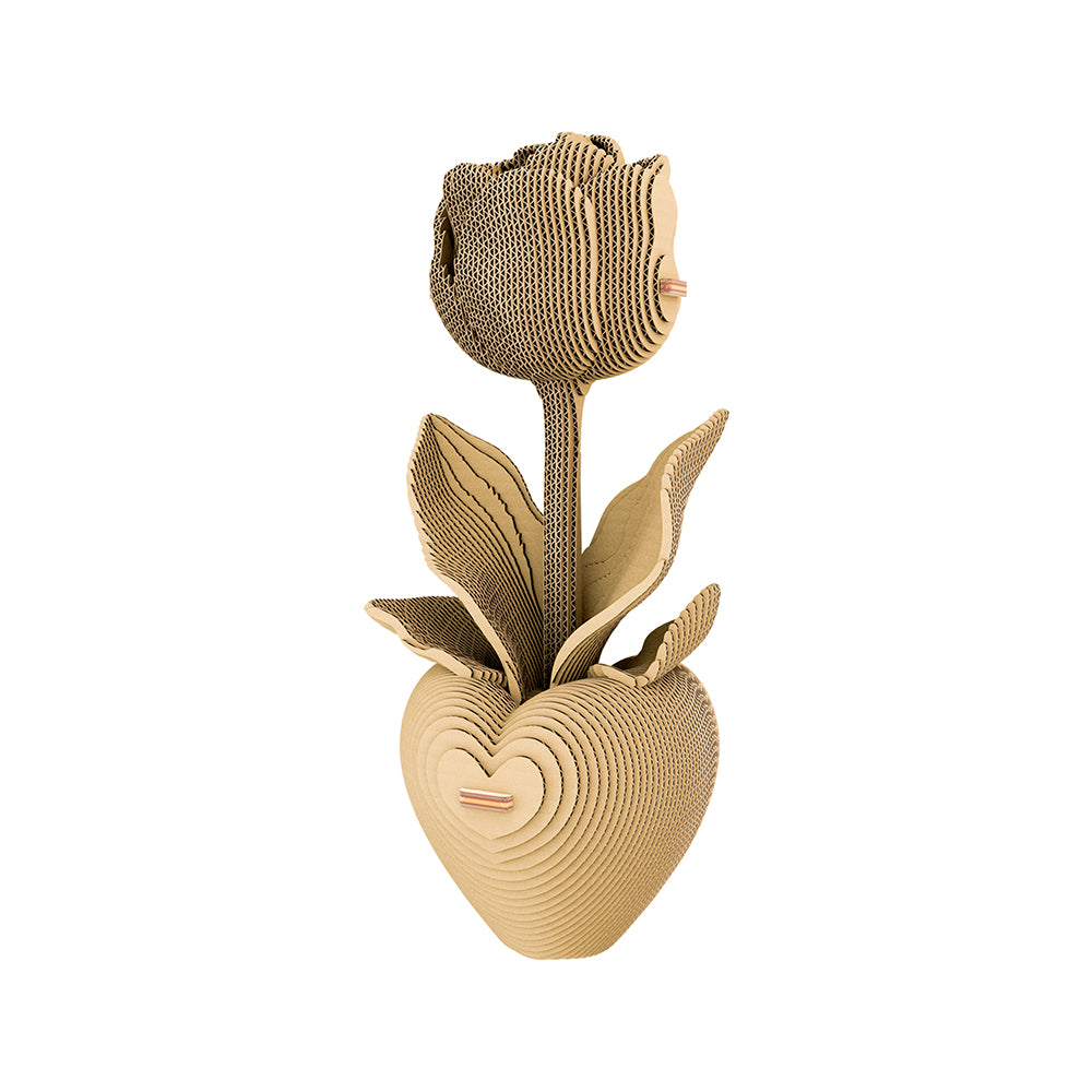 TULIP Cartonic Collectible 3D Puzzle