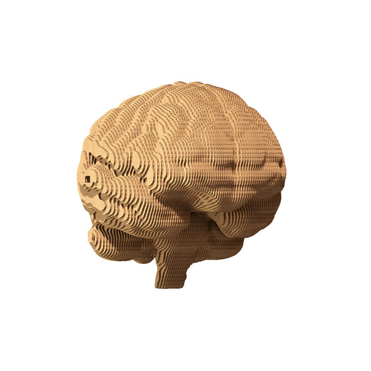 BRAIN Cartonic 3D Puzzle