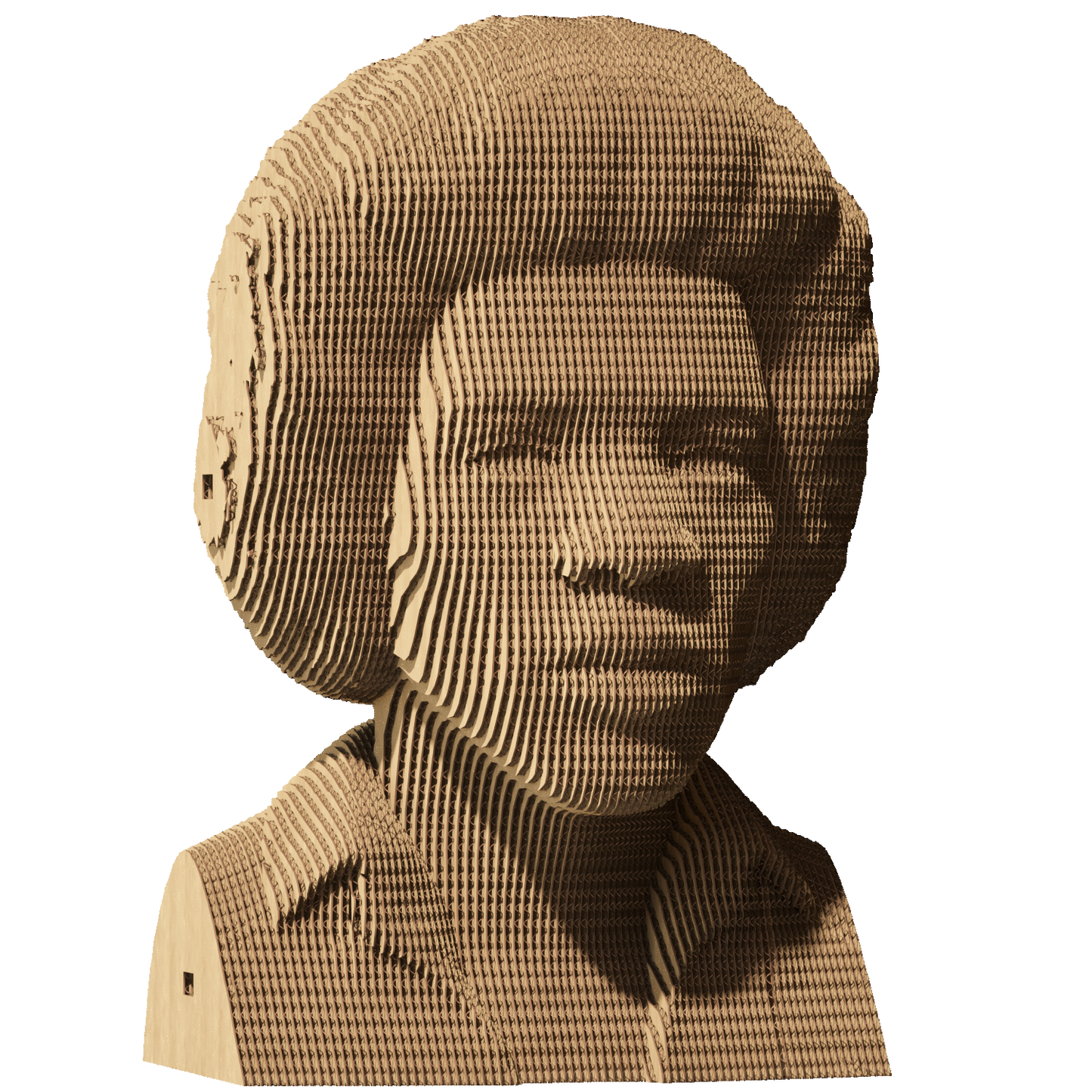 JIMI HENDRIX Cartonic 3D Puzzle