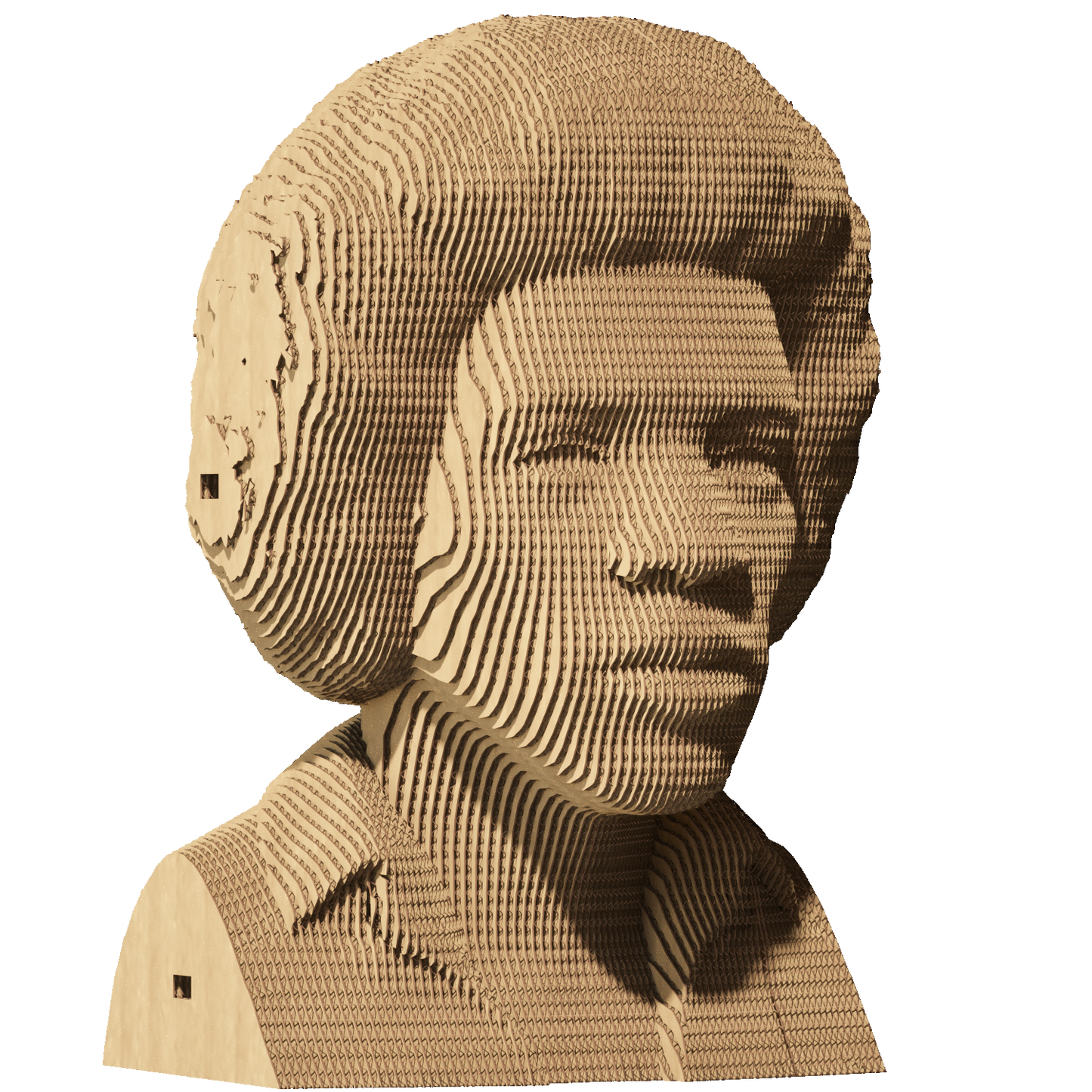 JIMI HENDRIX Cartonic 3D Puzzle