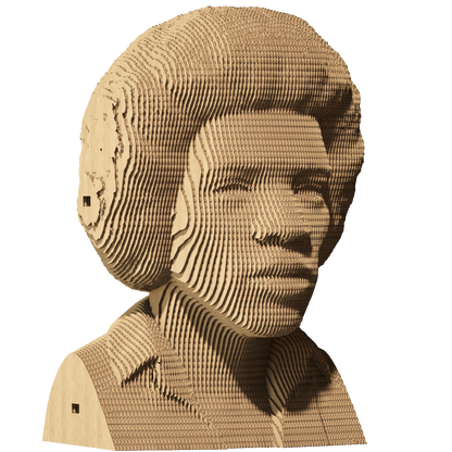 JIMI HENDRIX Cartonic 3D Puzzle